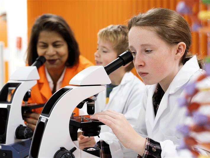 Microscope investigations.