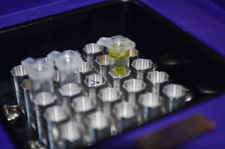 Experiment underway