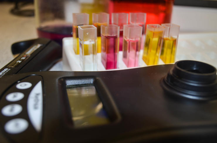 DNA testing