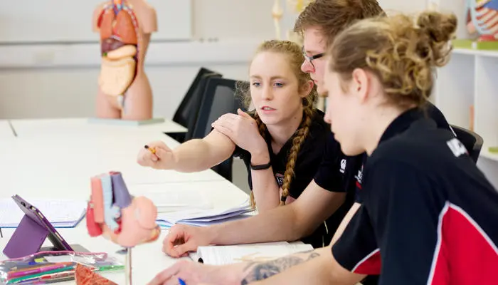 Sports therapy students