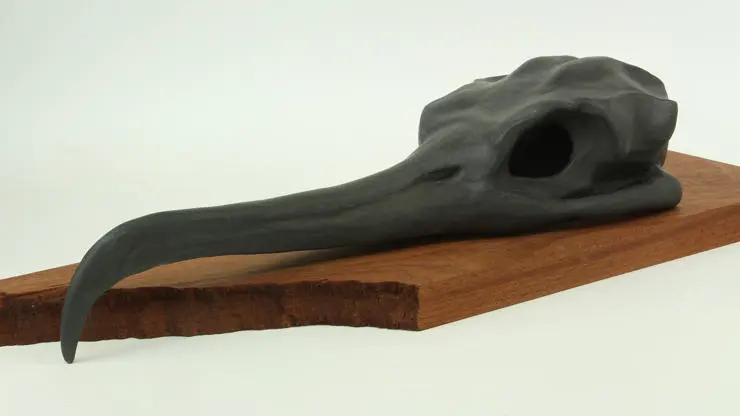 2020 Degree Show - Memory and Loss by Johanna Storm Rusu