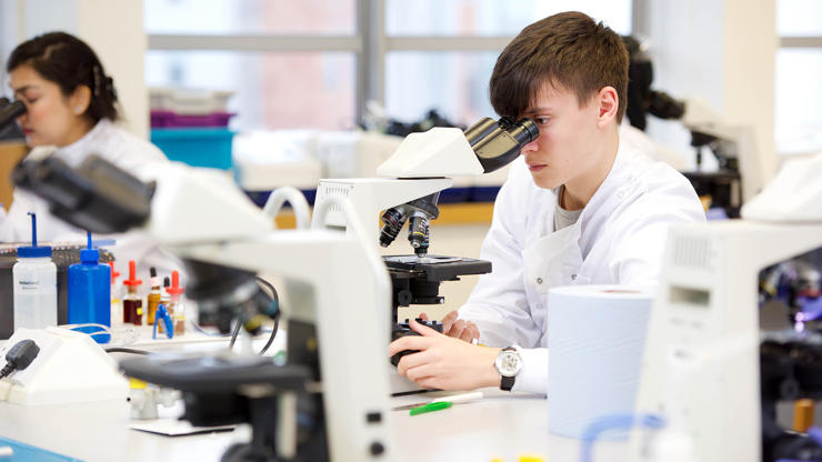 medical sciences students using a microscope
