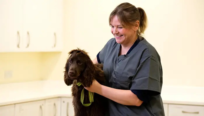 Vet tutor with a dog
