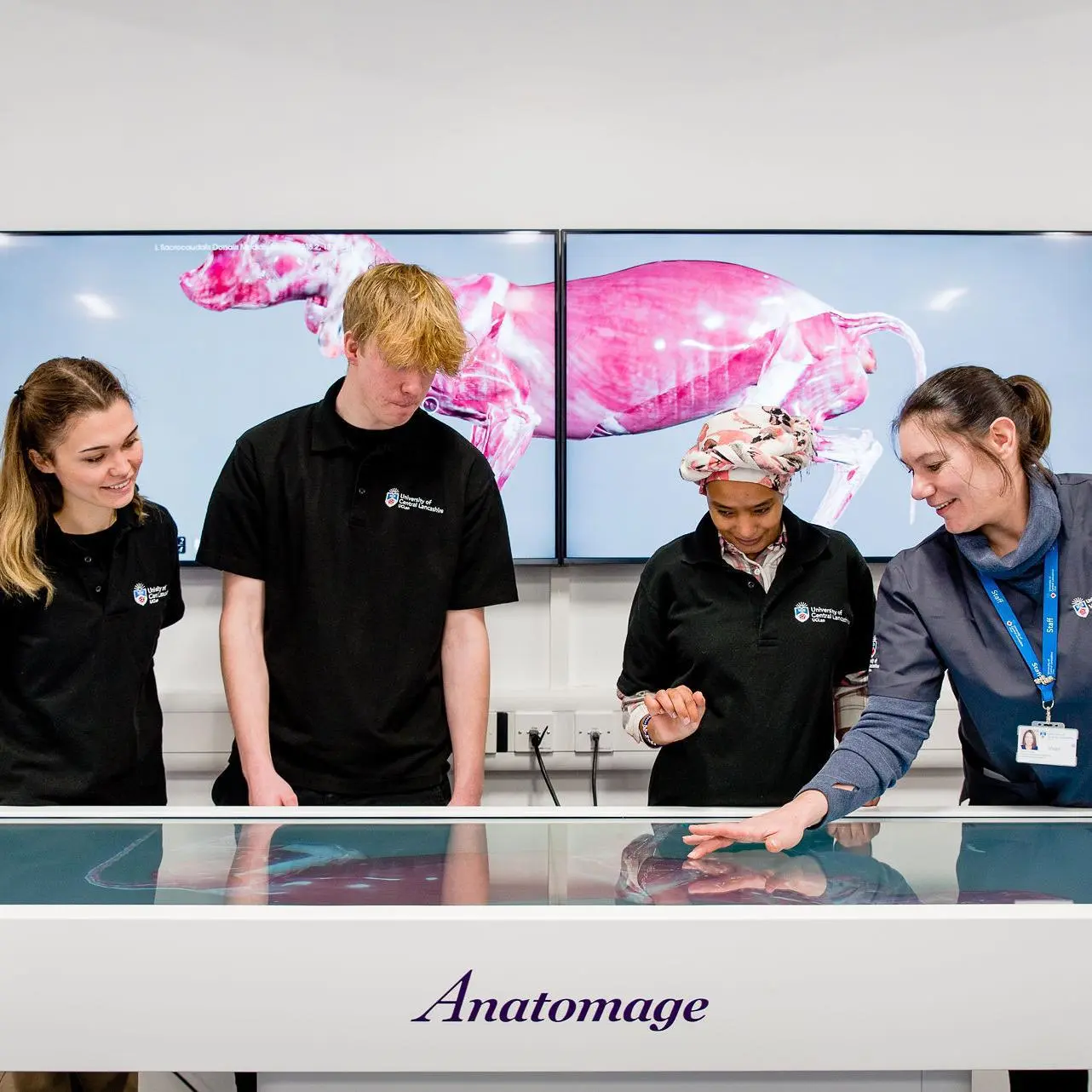 Students and tutor using the veterinary Anatomage table