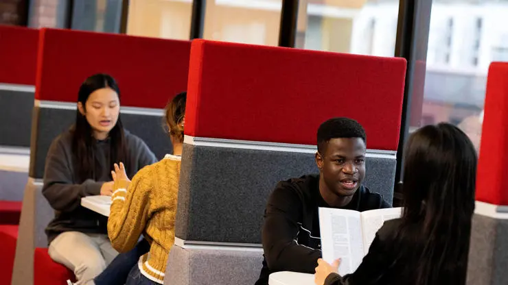 Students studying together