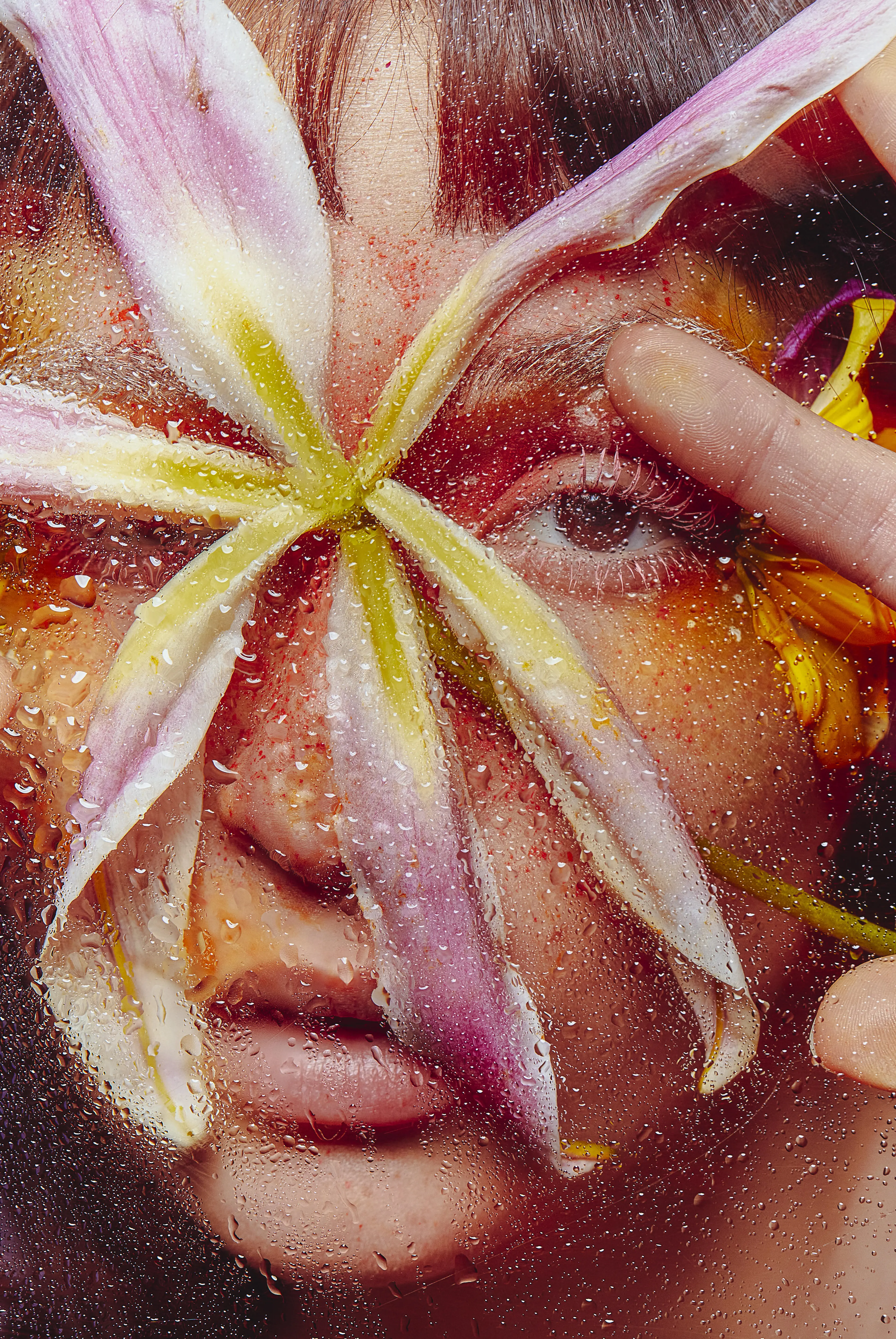 Image of a person and a flower by Georgina Shorrock BA (Hons) Photography