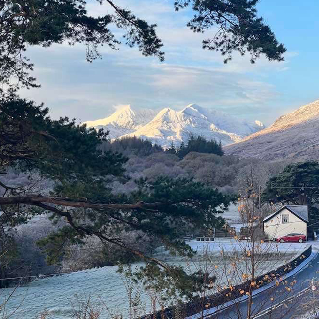 A snow topped mountain seen through the branches of a tree