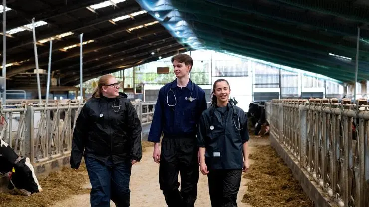 Georgia (far right) and her fellow students start animal handling right from their first year, with weekly visits to Myerscough College to work with exotic and farm animals.