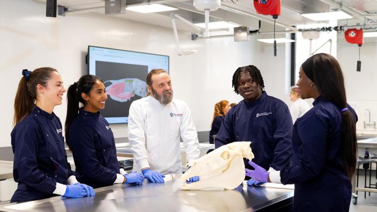 Our academic team have a wealth of knowledge and many are still practicing veterinarians or vet nurses