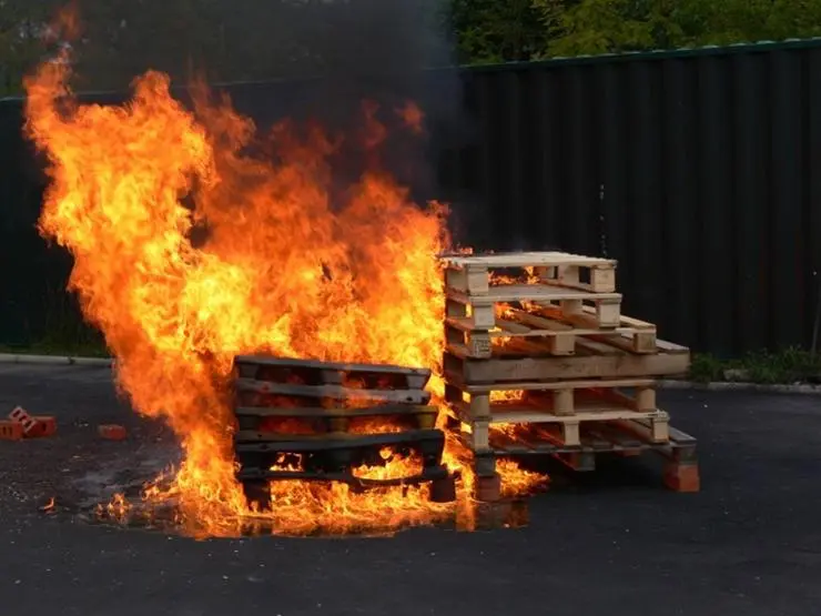 Comparison of polyethylene and wooden pallets