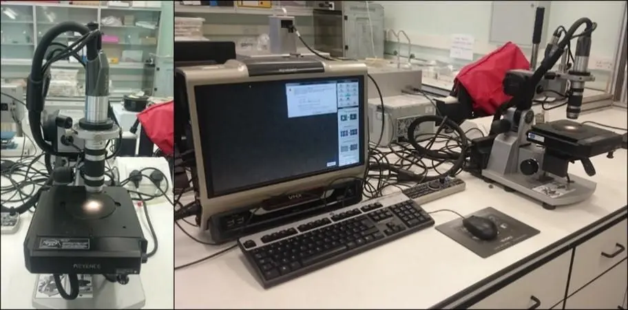 optical-microscopy-with-digital-imaging