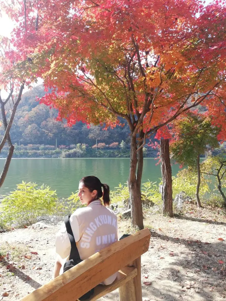 Nami island in Gangwon Province