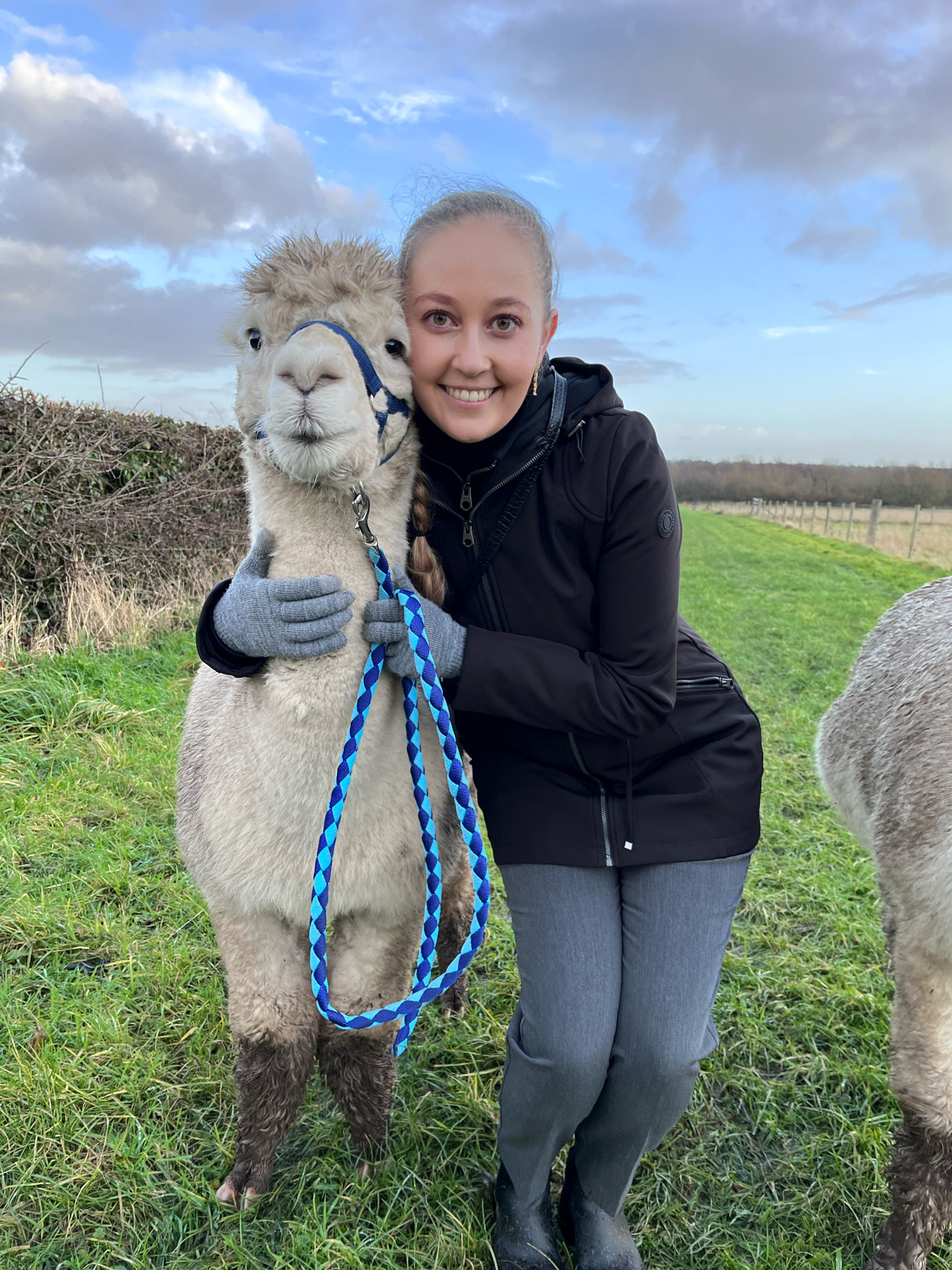 Maya Krause alpaca farm Preston