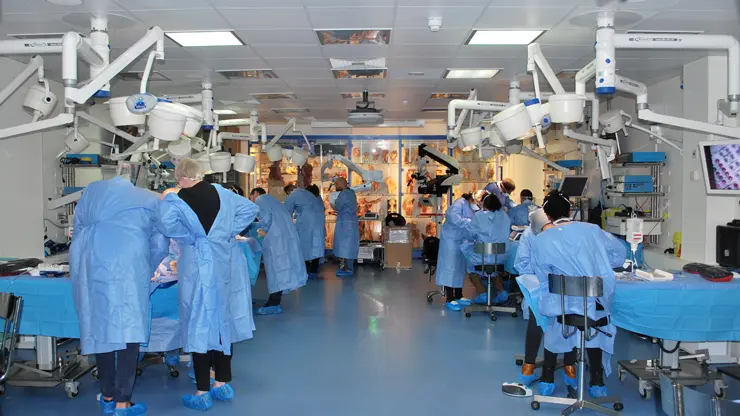 Surgical training on Fresh cadavers as part of the MSc Clinical Implantology