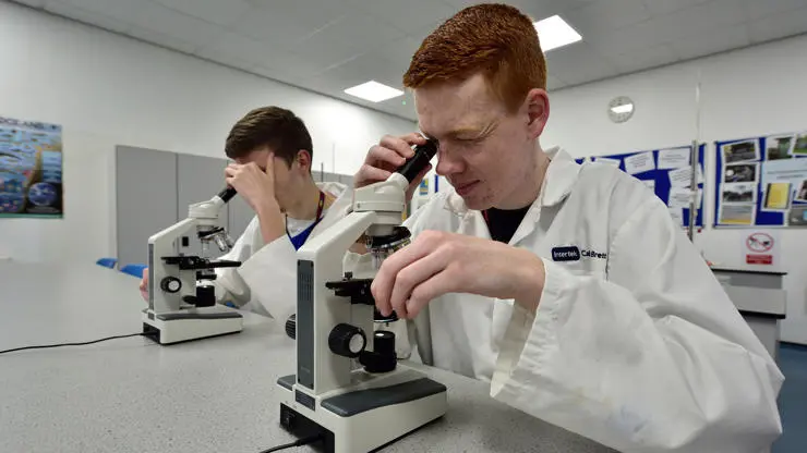 Using microscopes
