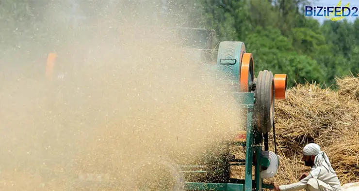 A farmer using a threshing machine to loosen the edible part of the biofortified grain from the chaff