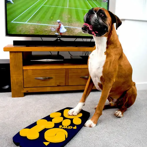 Rocky the boxer (pictured), who is taking part in the trial