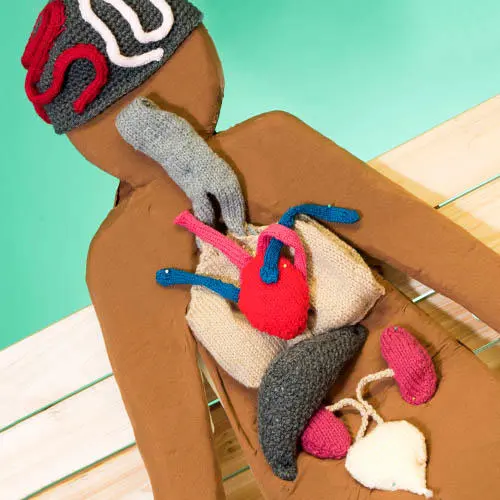 Knitted body