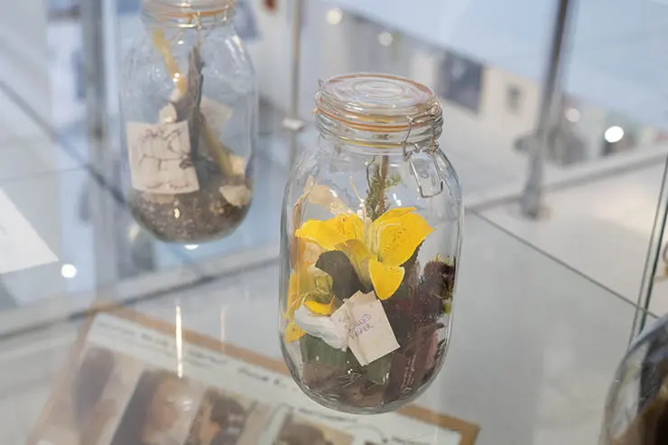 Work from the Being Human exhibition