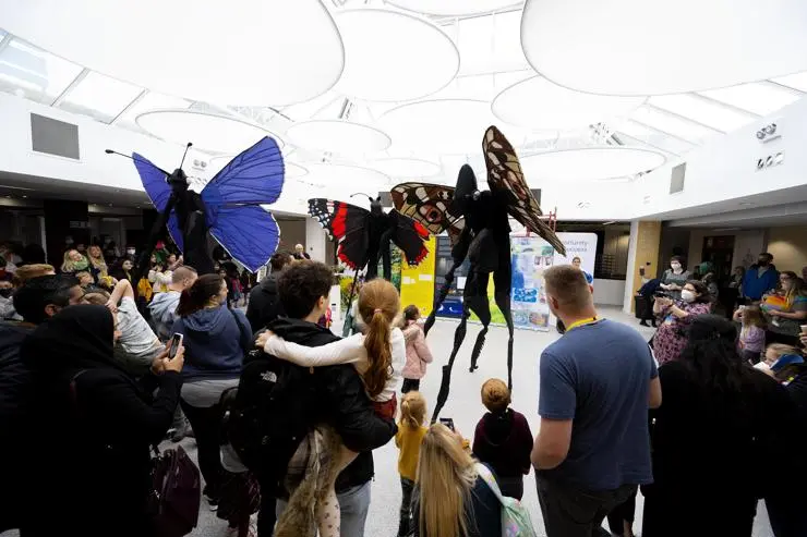 The crowds watching the Insectopolis display