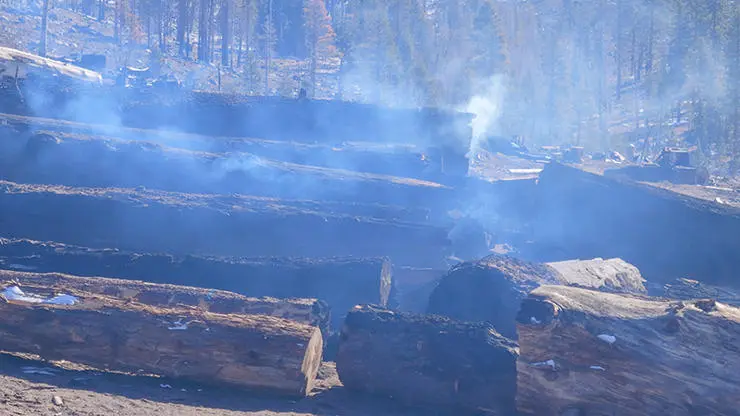 Logs smouldering