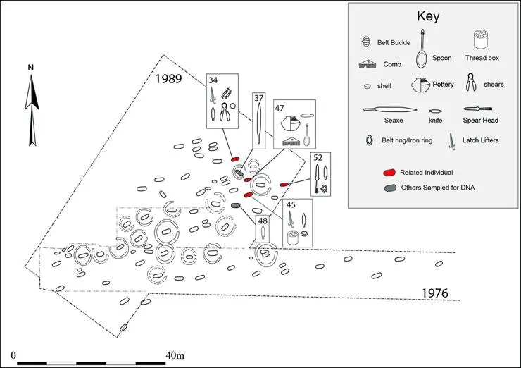 The excavated graves at Updown, Kent, showing the burials sampled for aDNA with artefacts, and related individuals (figure by D Sayer).