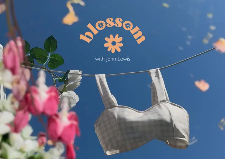 A suggestion of what an advert for Blossom might look like