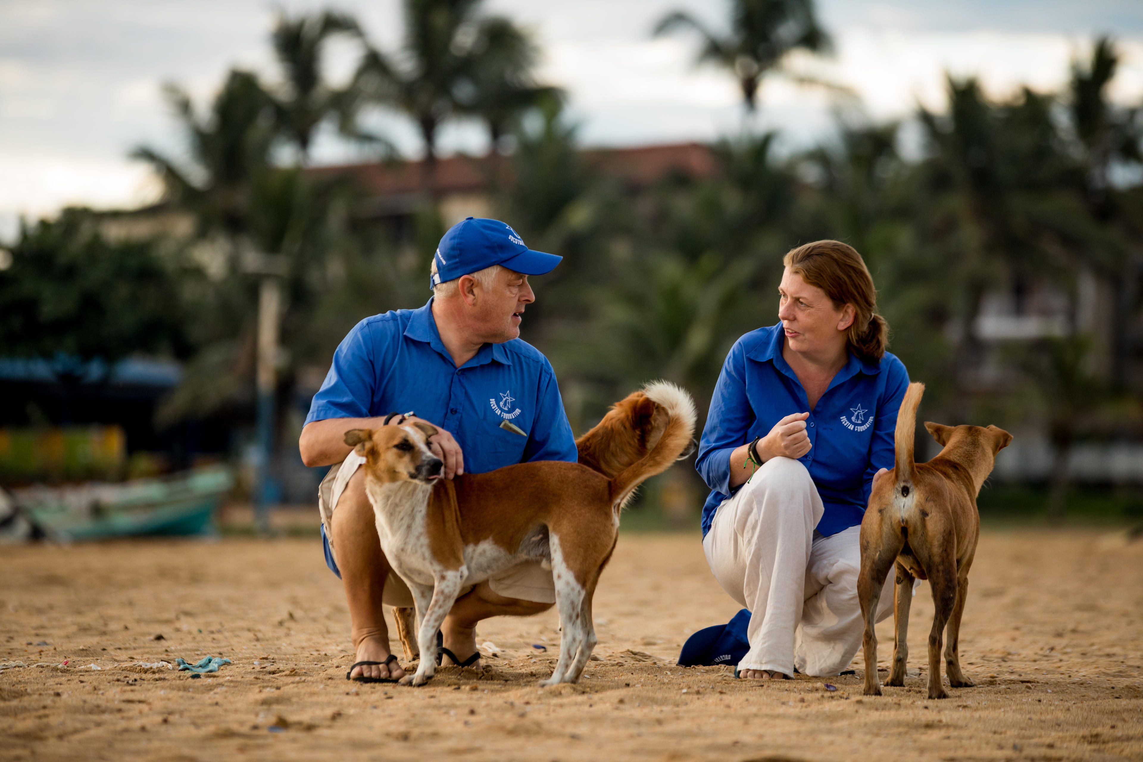 A man and a woman crouched down on a sandy beach with two light brown dogs