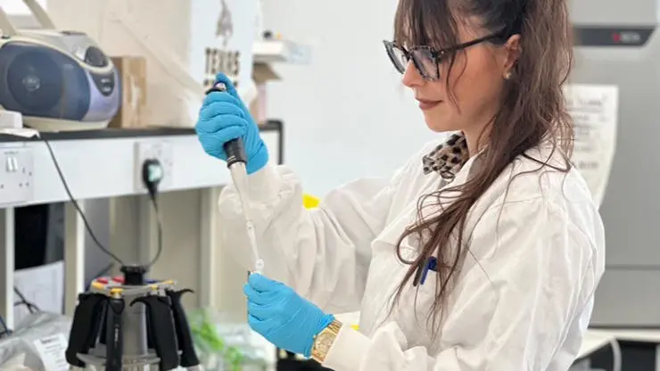 Working in the lab