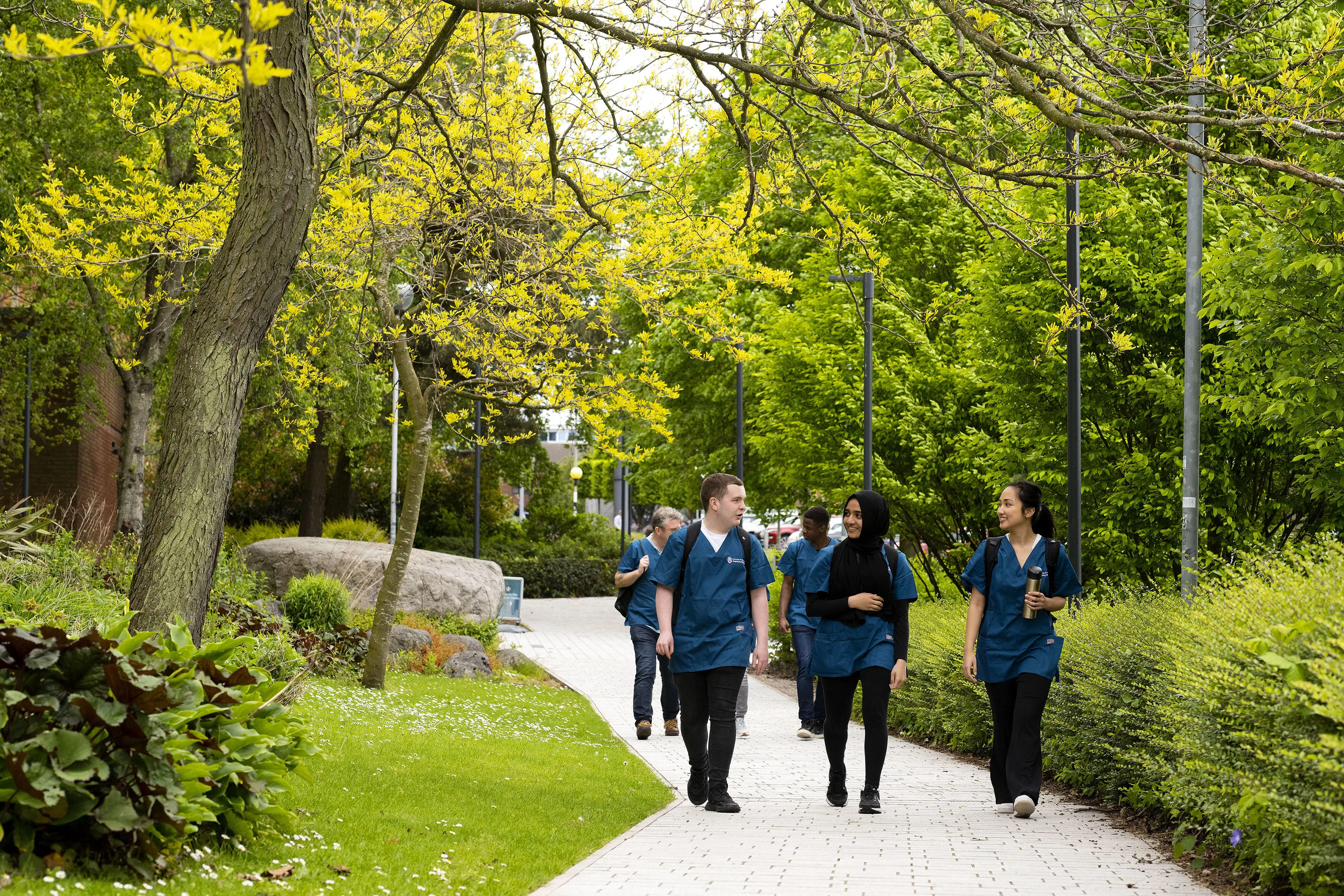 A group of students walking along a tree lined path