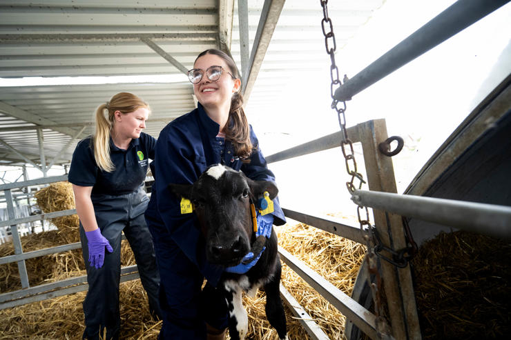 news-University of Central Lancashire's Vet Summer School (10)