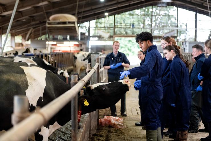 news-University of Central Lancashire's Vet Summer School (4)