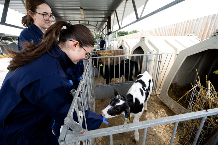 news-University of Central Lancashire's Vet Summer School (6)