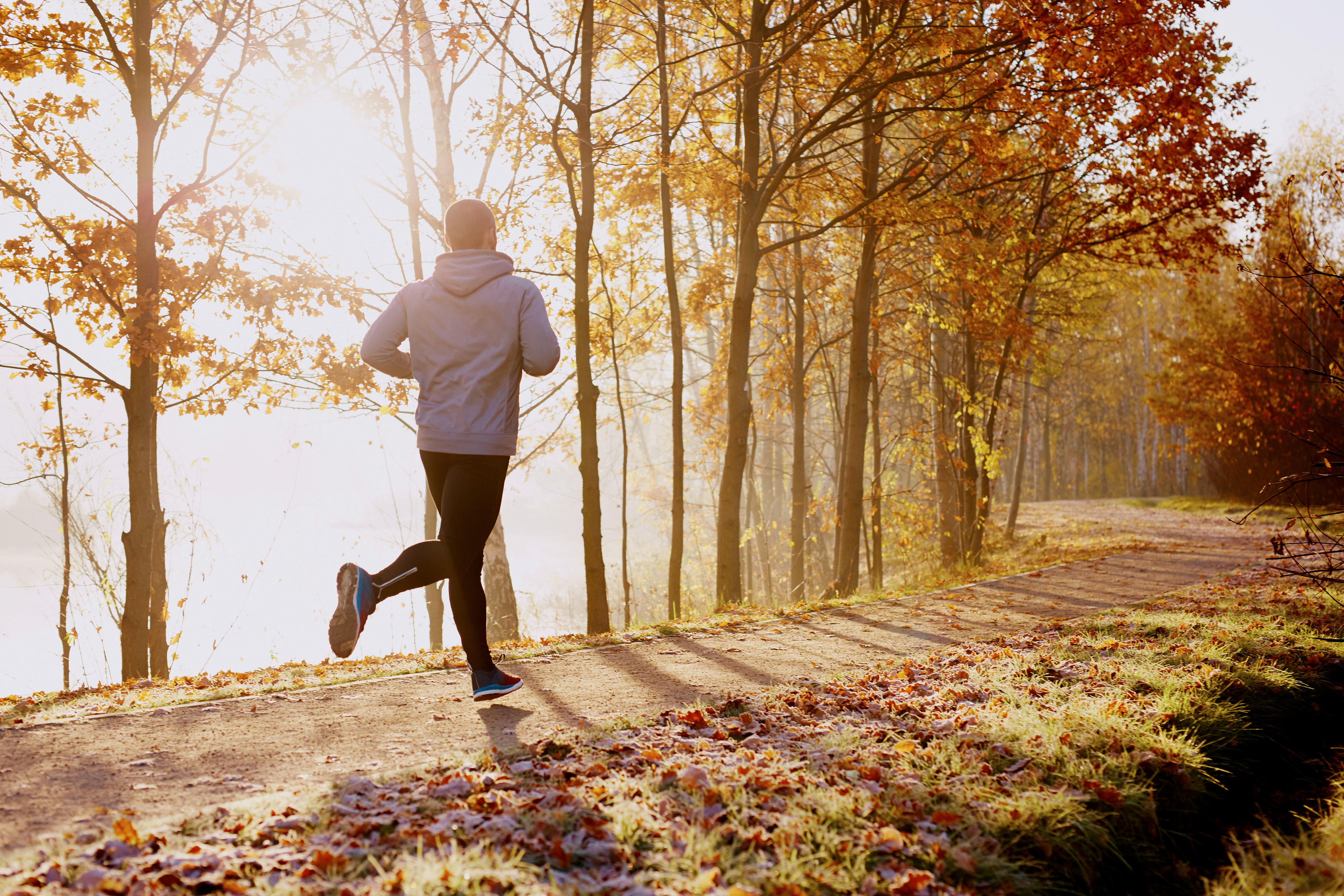 A man running on a path with trees and sunlight