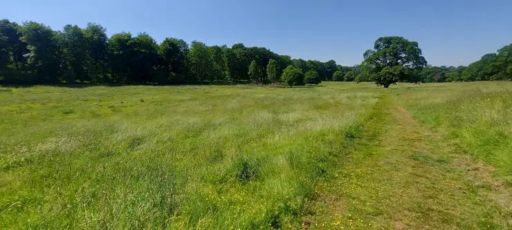 The north park at Lowther Castle, where lie hidden the remains of a medieval castle and village and where, from June 26 to July 21, the team will be surveying and excavating to uncover a hidden chapter in Cumbria’s past. Visitors are welcome.