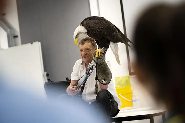 Birdman Alan Ames shows off his birds of prey