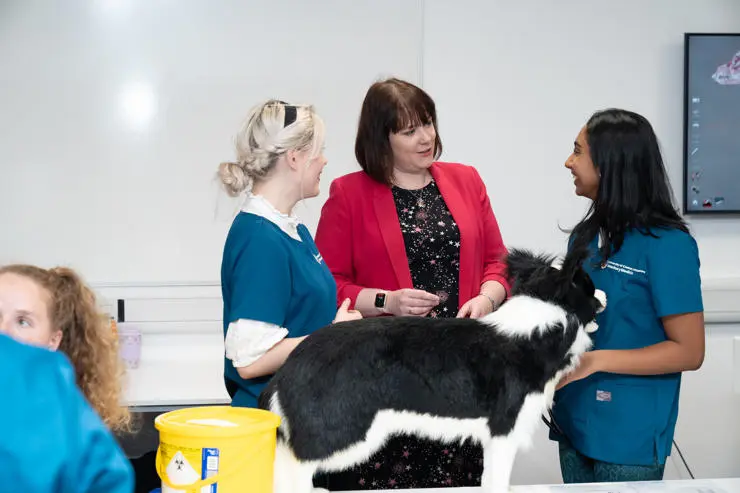 Medivet visit (6)