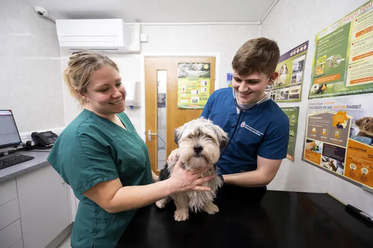 Kate Flintoft and Dylan Fowles with Ernie the dog