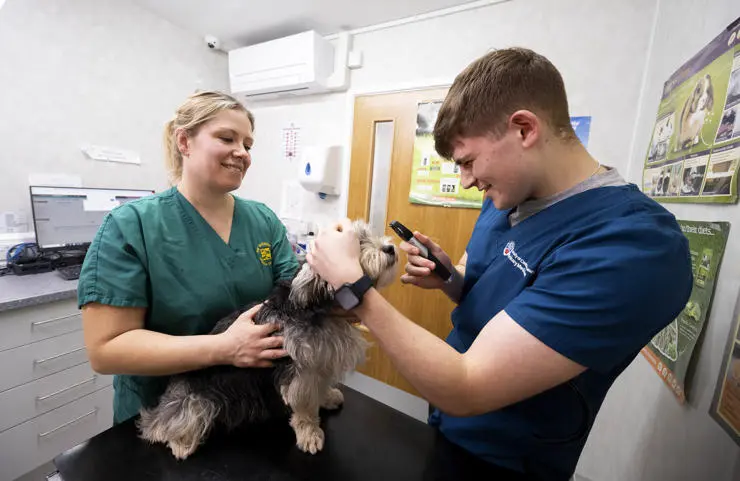 Dylan Fowles looking into Ernie the dog's eyes while watched by Kate Flintoft