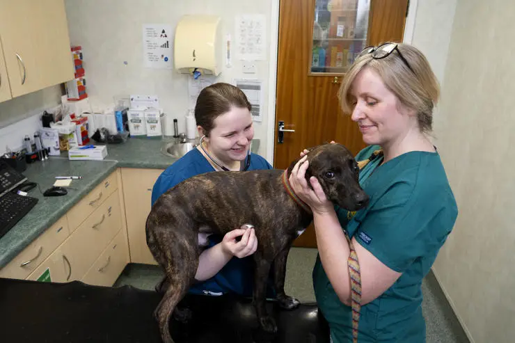 Lucy Storey listening to Dexter the dog's breathing while being observed by Katey Middleton