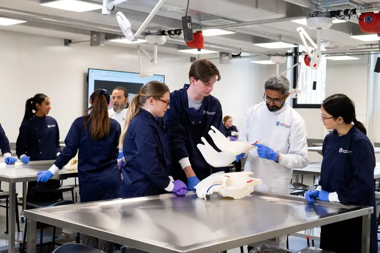 Looking at medical models in the dissection room