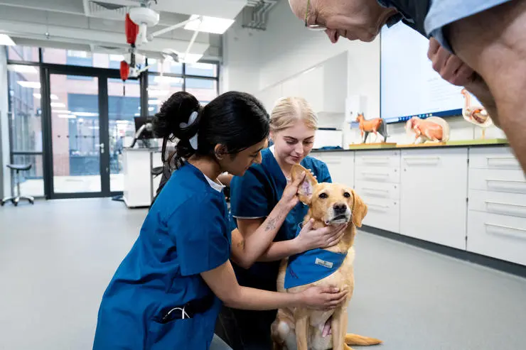 Dog handling with a canine teaching assistant