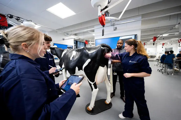 A large animal handling class