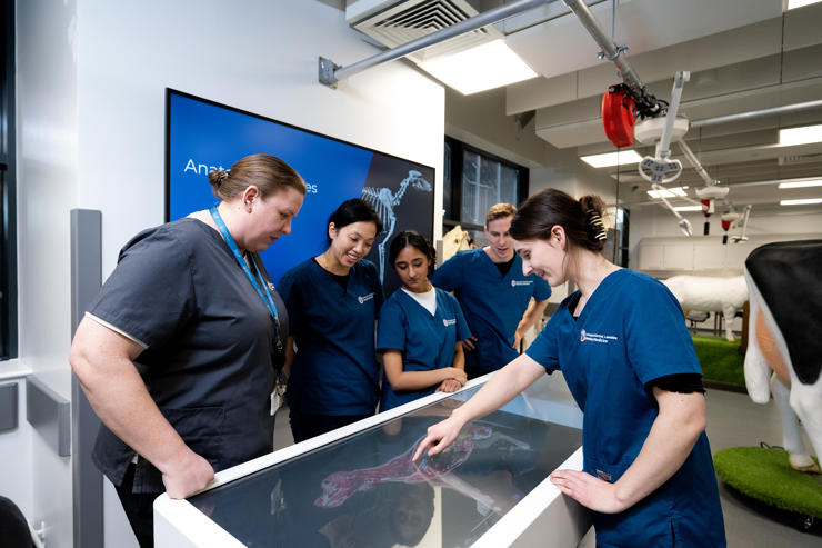 Students and staff looking at an Anatomage table