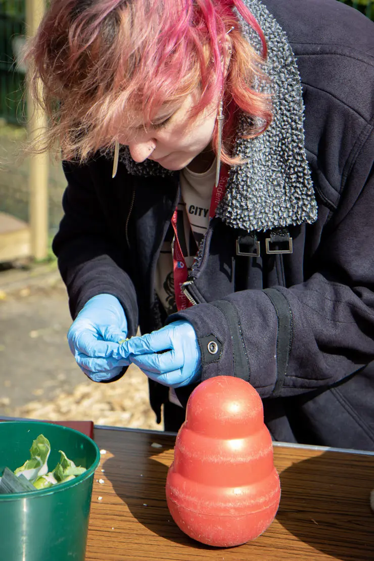 news-blackpool zoo vet visit (2)