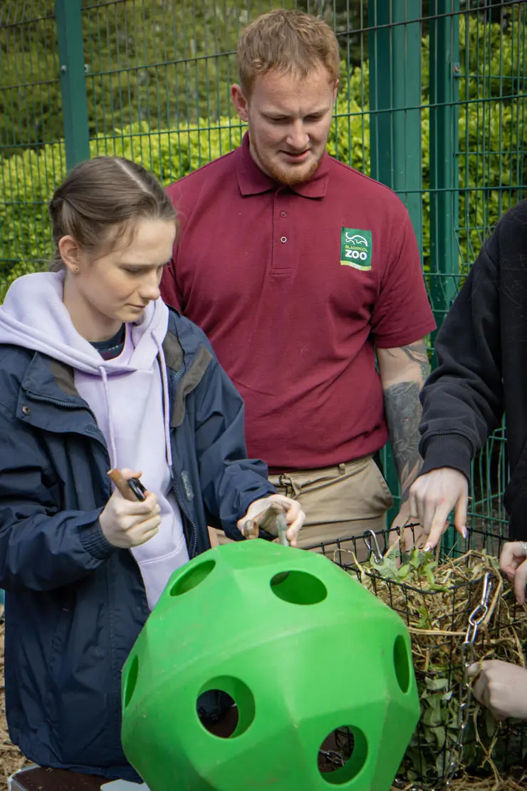 news-blackpool zoo vet visit (3)